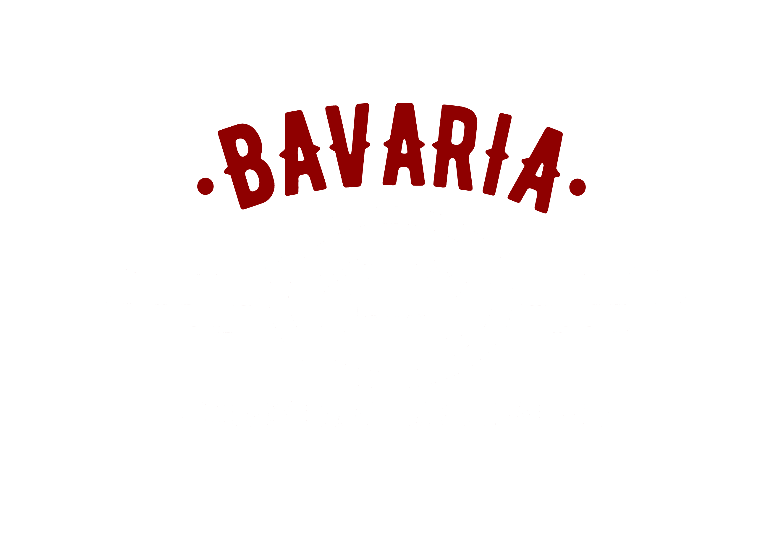 Bavaria professional car detailing